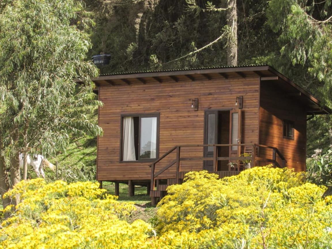 Quinta Dos Ventos Chale Villa Urubici Luaran gambar