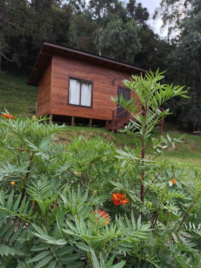 Quinta Dos Ventos Chale Villa Urubici Luaran gambar